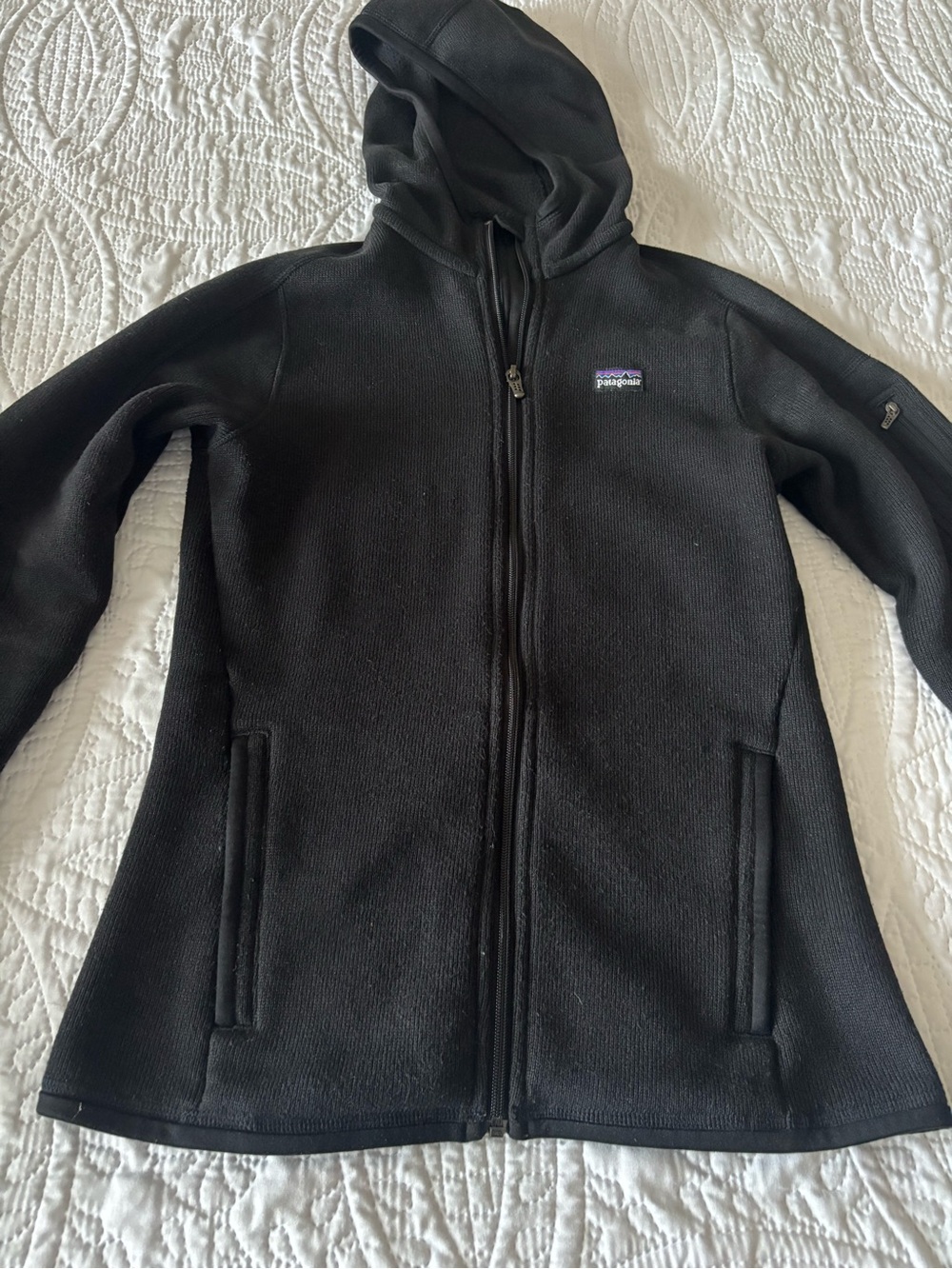 Patagonia Black Hooded Full-Zip Teddy Fleece Jacket